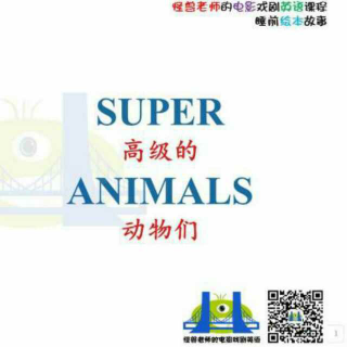 绘本5 Super animals