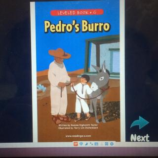 pedro's Burro 芋头 第一遍