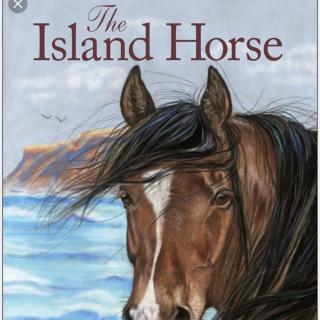 The Island Horse-13