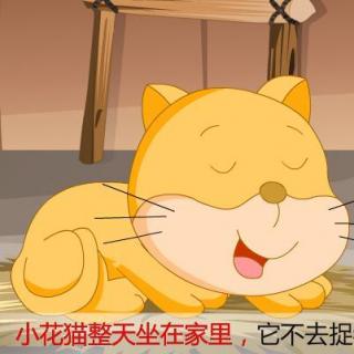 小花猫生蛋