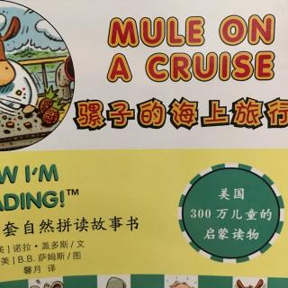 Mule on a cruise