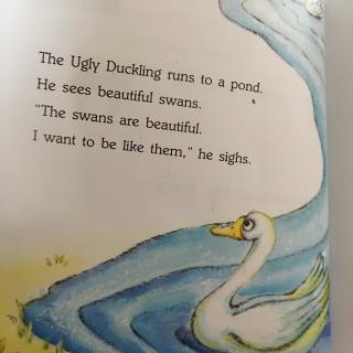 The ugly ducking 2-2