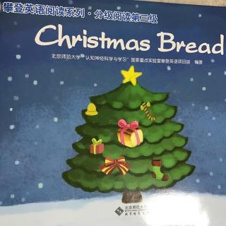 Christmas   Bread