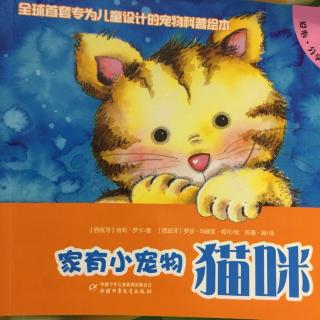 家有小宠物猫咪