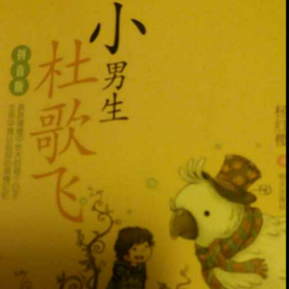 《小男生杜歌飞》三四章