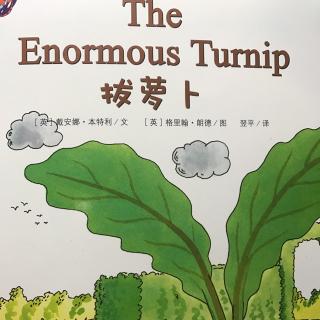 The Enormous Turnip