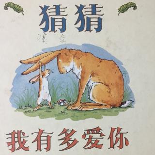 猜猜我有多爱你