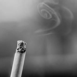 英闻新闻 | 吸烟使全球经济每年损失超1万亿美元