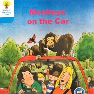 DD 3-2 Monkeys on the car