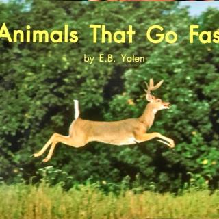 69 Animals that go fast