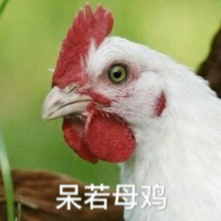 你在外面叫鸡你父母知道吗？