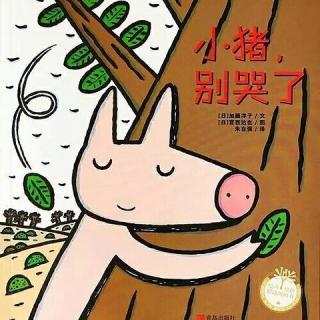 绘本TAXI为爱阅读《小猪，别哭了》