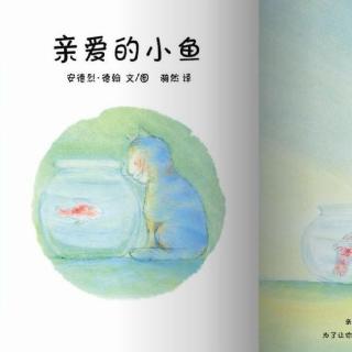 张老师讲故事之绘本系列《亲爱的小鱼》