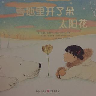 绘本故事《雪地里开了朵太阳花》