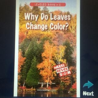 Why Do Leaves Change Color第一遍-芋头