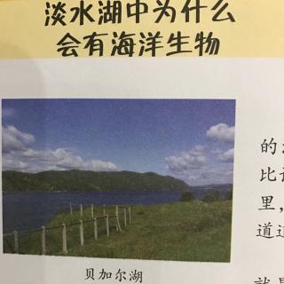 淡水湖中为什么会有海洋生物