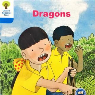 DD 3-3 Dragons!