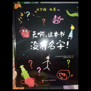 天啊，这本书没有名字！