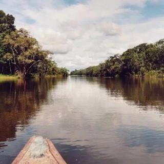 亚马逊雨林奇妙冒险