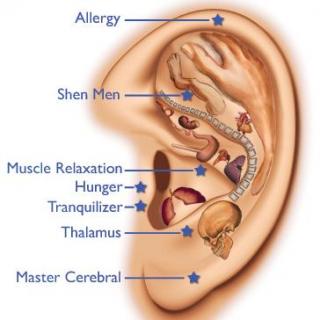 NO.236  Ear Acupuncture Bryan Frank (part I)