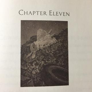 Chapter eleven- the miraculous journey of Edward Tulane 