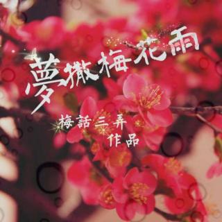 接龙客栈[505]梦撒梅花雨(第18回)