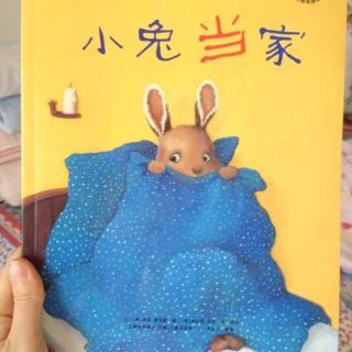 小兔🐰当家