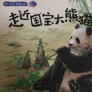 科学启蒙丛书之走近国宝大熊猫🐼