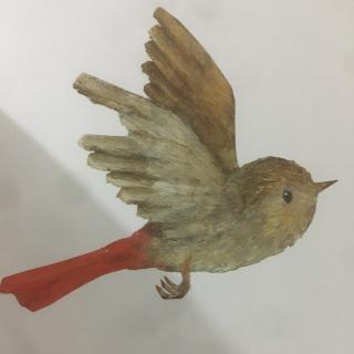 冬天的红尾鸟