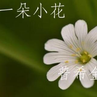 一朵小花-普希金