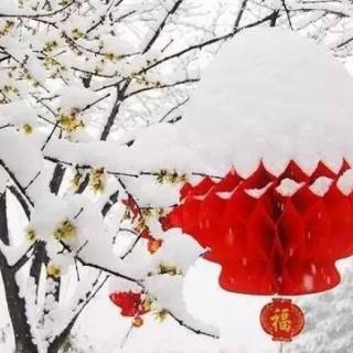 雪花❄️你好，新年你好