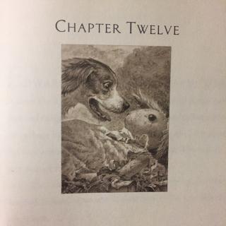 chapter twelve - the miraculous journey of edward tulane