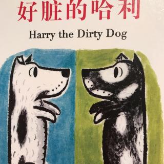 好脏的哈利—Harry the Dirty Dog