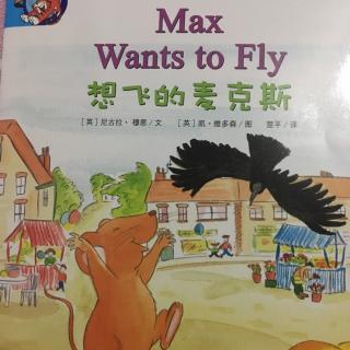 培生儿童英语分级阅读level2-Max Wants To Fly