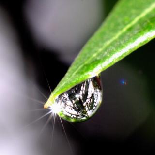 诗歌朗诵：《雨后》