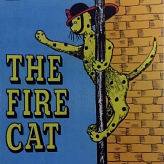 The fire cat