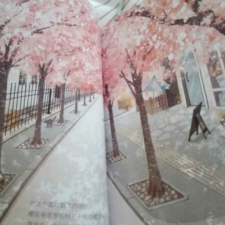 笑猫日记樱花港的秘密第一章在深秋开放的樱花。