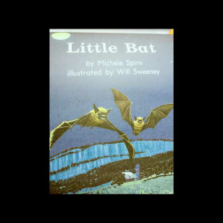 Little bat