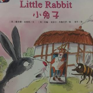 培生儿童英语分级阅读level2-Little Rabbit