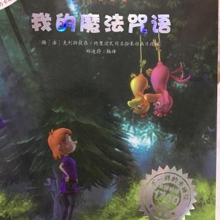 我的魔法咒语