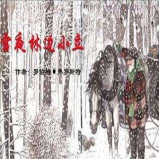 《雪夜林边小立》，作者：罗伯特·弗罗斯特，朗诵：梁媛媛