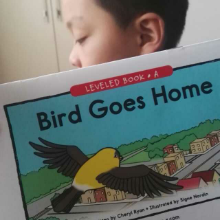 raz a 级 bird goes home 亲子英语阅读