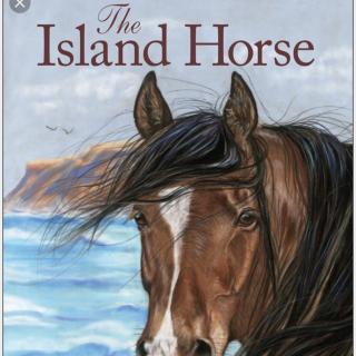 The Island Horse - 14