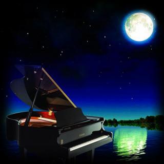 夜的钢琴曲
