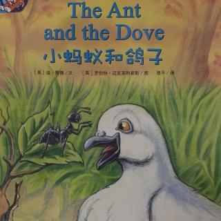 培生儿童英语分级阅读level2-The Ant and the Dove(the end)