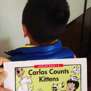 raz a级carlos counts kittens 阅读