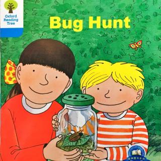 DD 3-8 Bug hunt