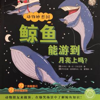 动物妙想国之鲸鱼能游到月亮上吗