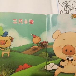 三只小猪🐷