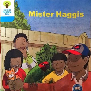 DD 3-9 Mister Haggis